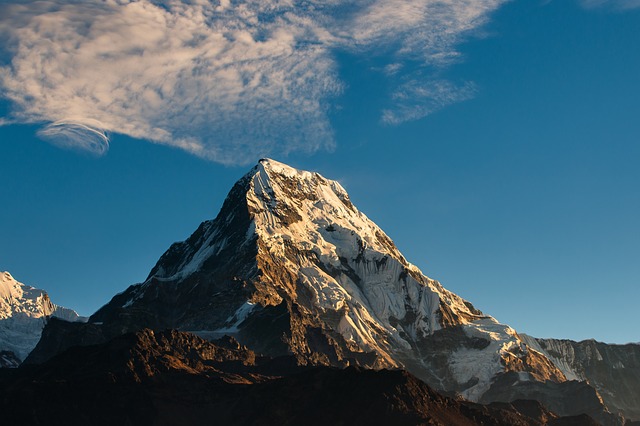 Image by Ambir Tolang from Pixabay