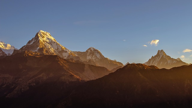 Image by Ambir Tolang from Pixabay
