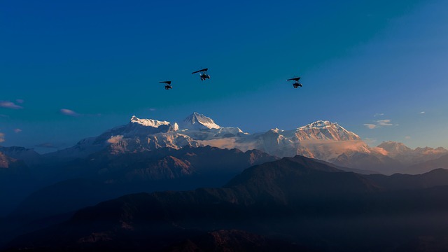 Image by Ambir Tolang from Pixabay