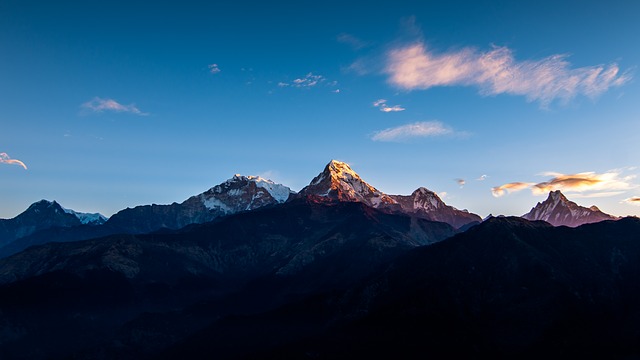 Image by Ambir Tolang from Pixabay