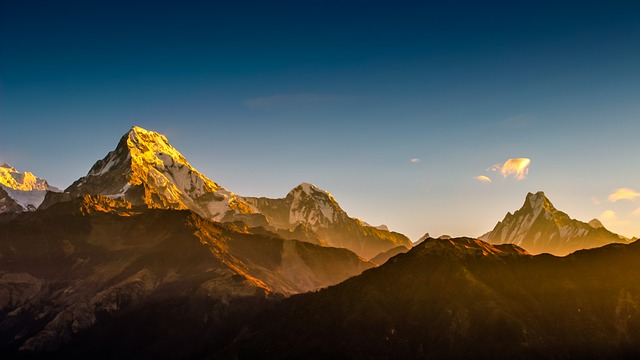 Image by Ambir Tolang from Pixabay