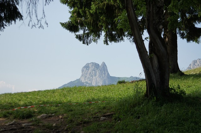 Image by R. Schäfer from Pixabay