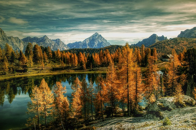 Image by kordula vahle from Pixabay