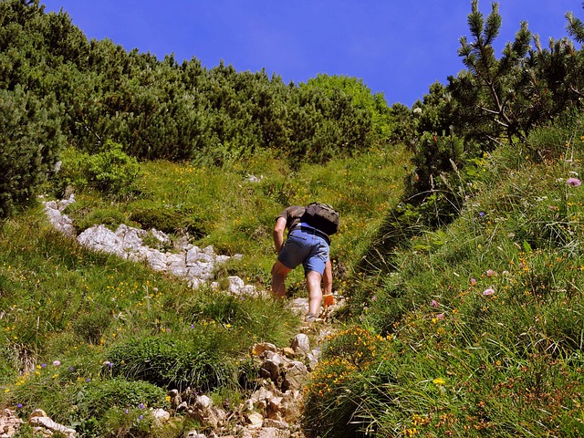 Image by Gianni Crestani from Pixabay