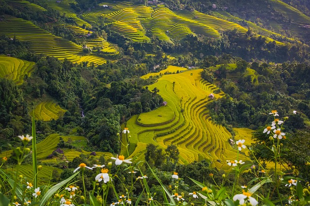 Image by Hoang DANG from Pixabay