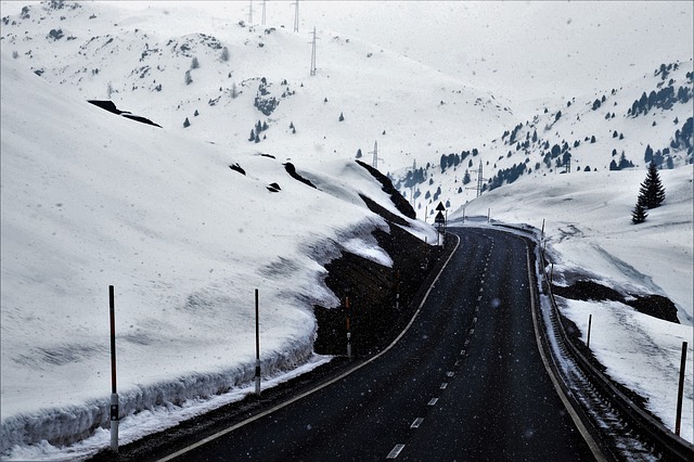 Image by pasja1000 from Pixabay