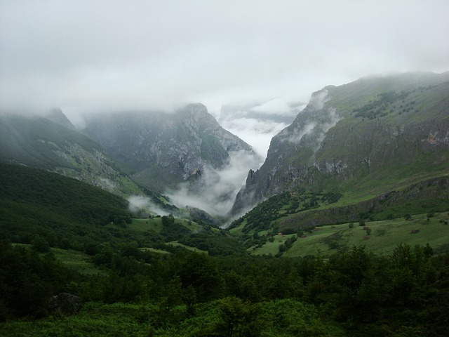 Image by Raúl López from Pixabay