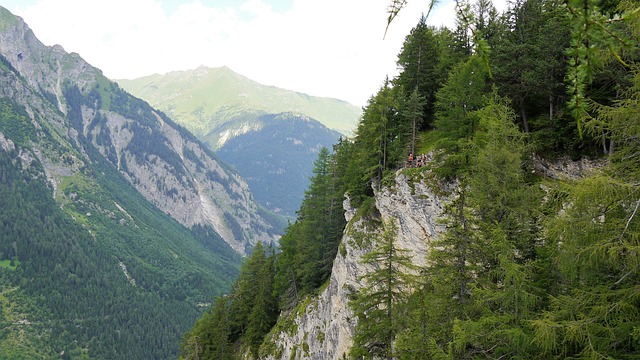 Image by John_Joanna_Godskalender from Pixabay