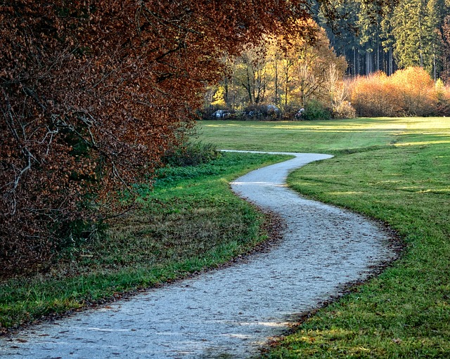 Image by Manfred Antranias Zimmer from Pixabay