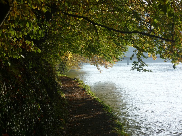 Image by Schubidu from Pixabay