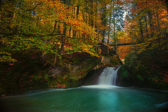 Image by Lars_Nissen_Photoart from Pixabay