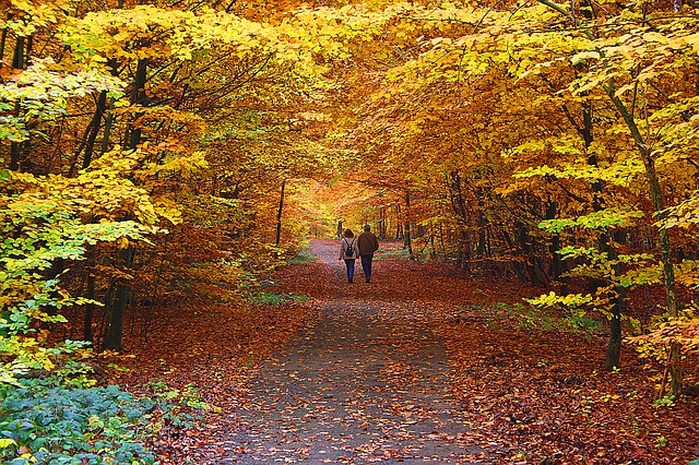 Image by Günther Schneider from Pixabay