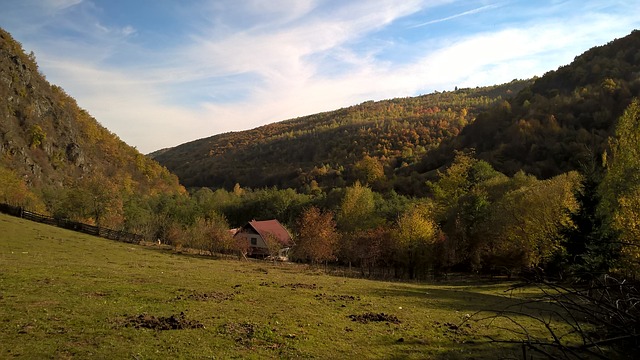 Image by Ildikó Szikszai from Pixabay