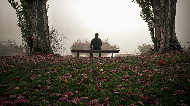 Image by Roland Marte from Pixabay
