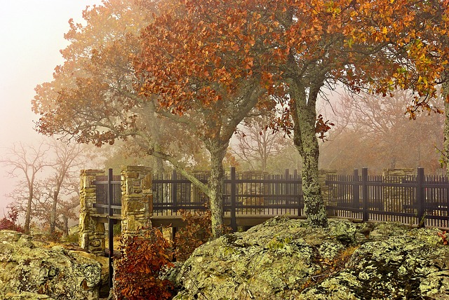 Image by Mike Goad from Pixabay