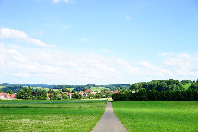 Image by Hans Braxmeier from Pixabay