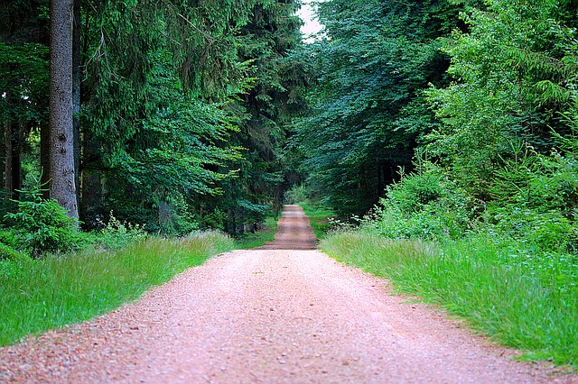 Image by Myriams-Fotos from Pixabay
