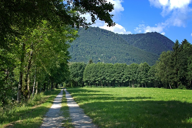 Image by Manfred Antranias Zimmer from Pixabay