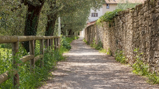 Image by meineresterampe from Pixabay