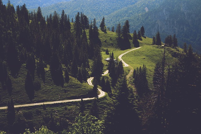 Image by slightly_different from Pixabay