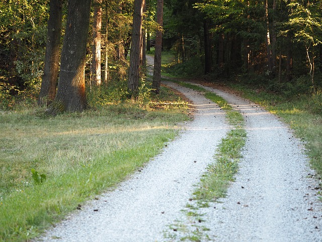 Image by Ratfink1973 from Pixabay