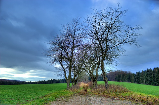 Image by Momentmal from Pixabay