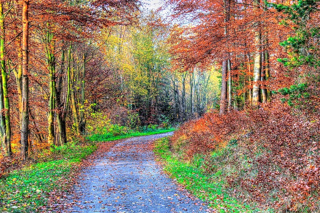 Image by Momentmal from Pixabay