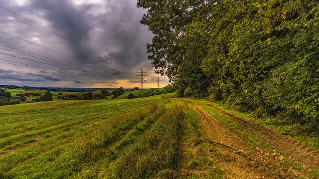 Image by O12 from Pixabay