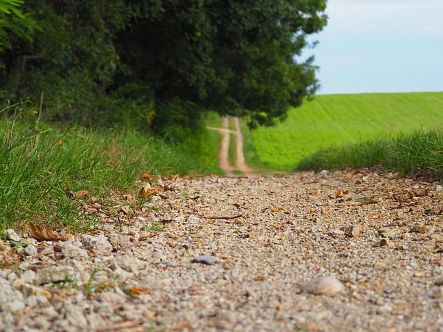 Image by flockine from Pixabay