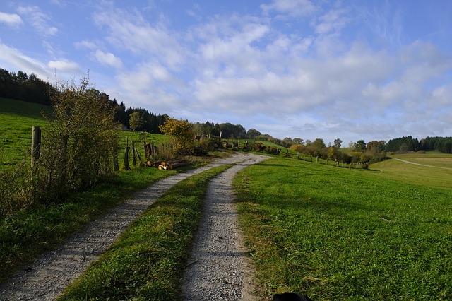 Image by Bruno Glätsch from Pixabay