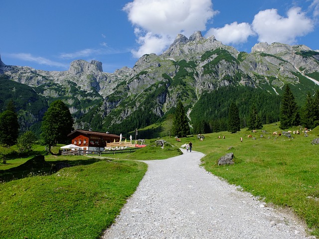 Image by MargaD from Pixabay