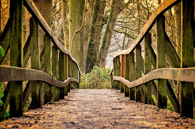 Image by Peter H from Pixabay