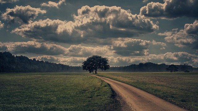Image by composita from Pixabay