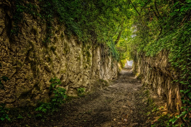 Image by Peter H from Pixabay