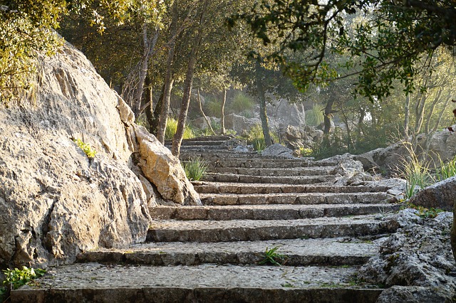 Image by Thomas Müller from Pixabay