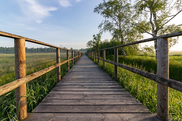 Image by Heiko Stein from Pixabay