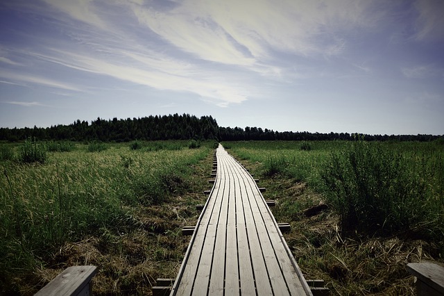 Image by MissSuki from Pixabay