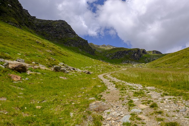 Image by Bruno Glätsch from Pixabay