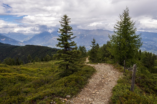 Image by Bruno Glätsch from Pixabay