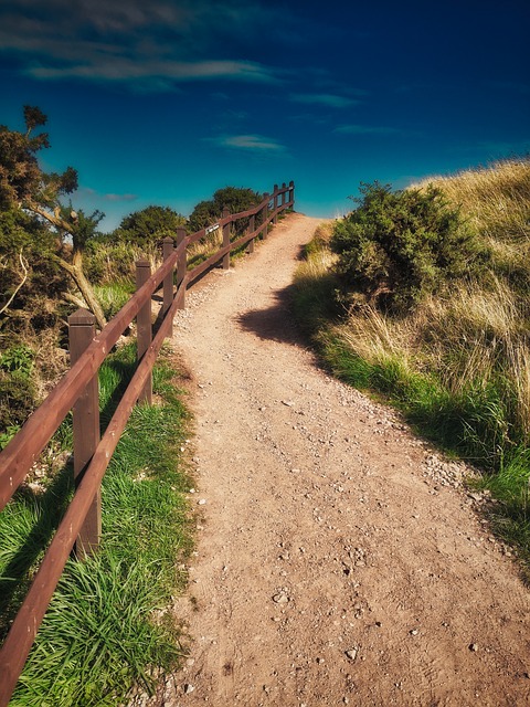 Image by Thomas H. from Pixabay