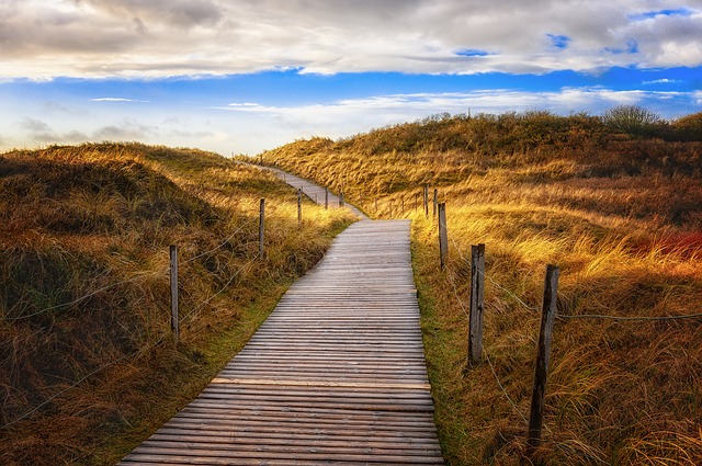 Image by Peter H from Pixabay