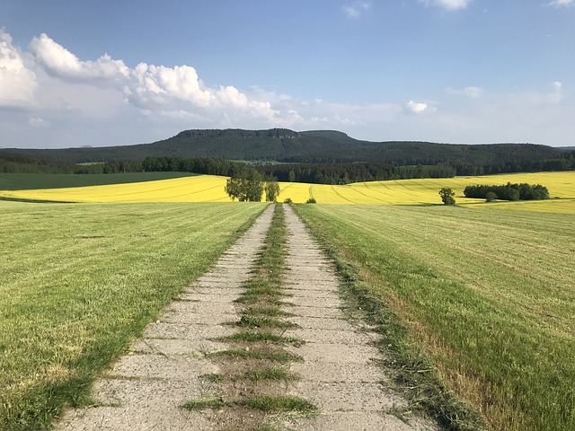 Image by Mathias89 from Pixabay