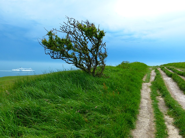 Image by LoggaWiggler from Pixabay