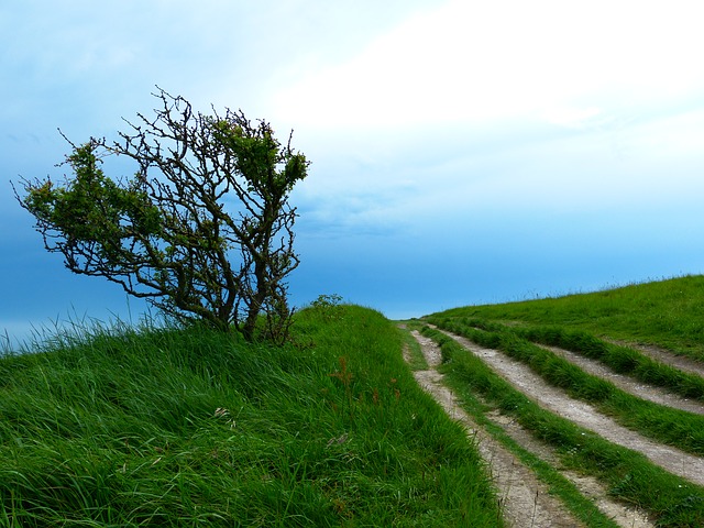 Image by LoggaWiggler from Pixabay