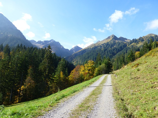 Image by emi-le from Pixabay