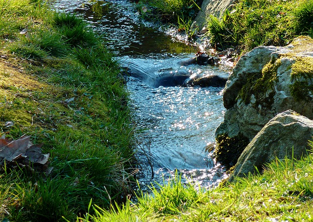 Image by moritz320 from Pixabay