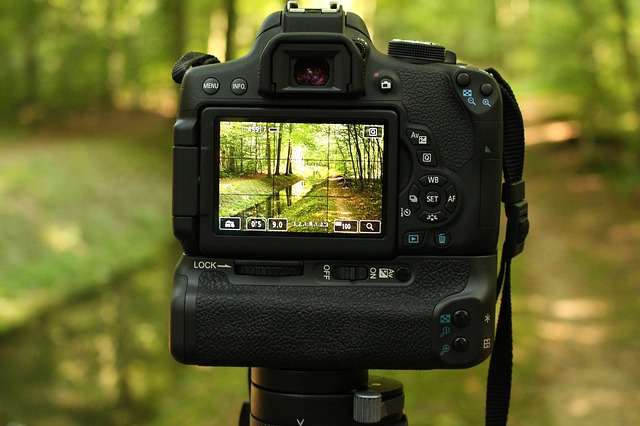 Image by NTW from Pixabay
