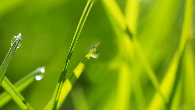 Image by kie-ker from Pixabay