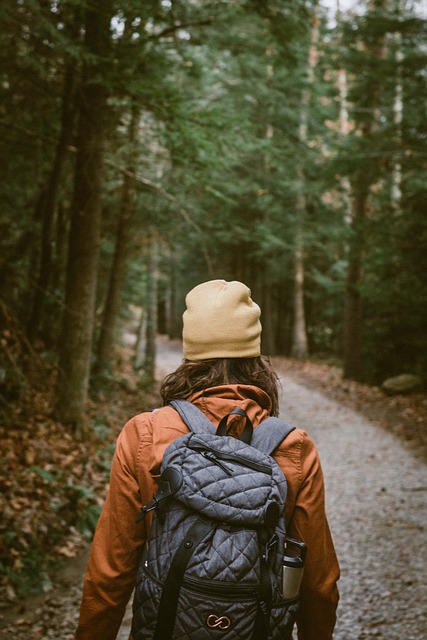 Image by StockSnap from Pixabay