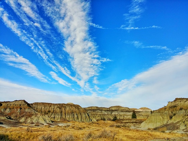 Image by Brody Taylor from Pixabay